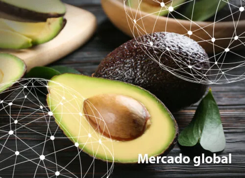 Resumen del mercado global del aguacate