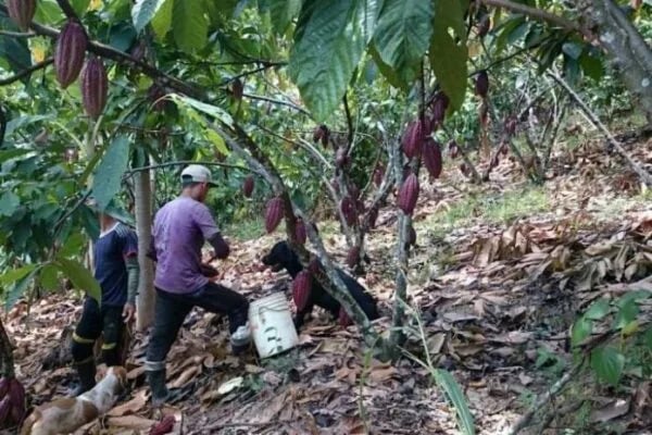 Ecuador ratifica su compromiso con el Reglamento Europeo Sobre Productos Libres de Deforestación (EUDR).
