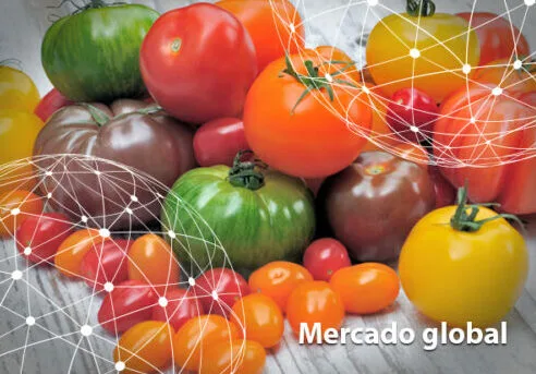 Resumen del mercado global del tomate