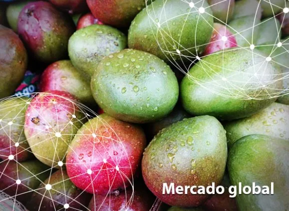 Resumen del mercado global del mango