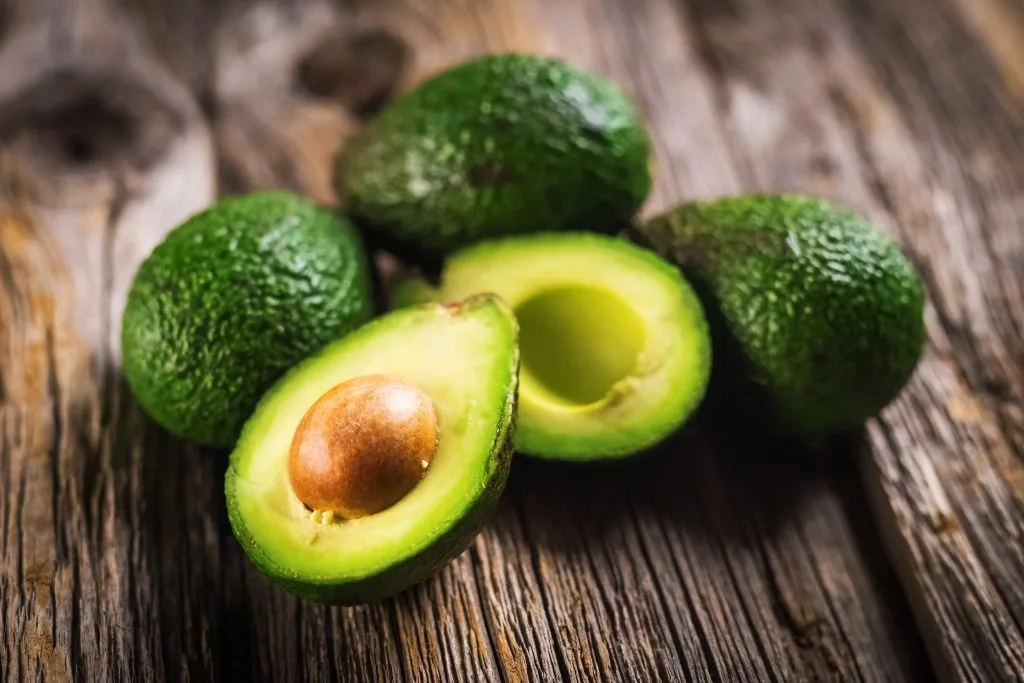 El aguacate con apoyo gubernamental puede ser el cultivo del futuro
