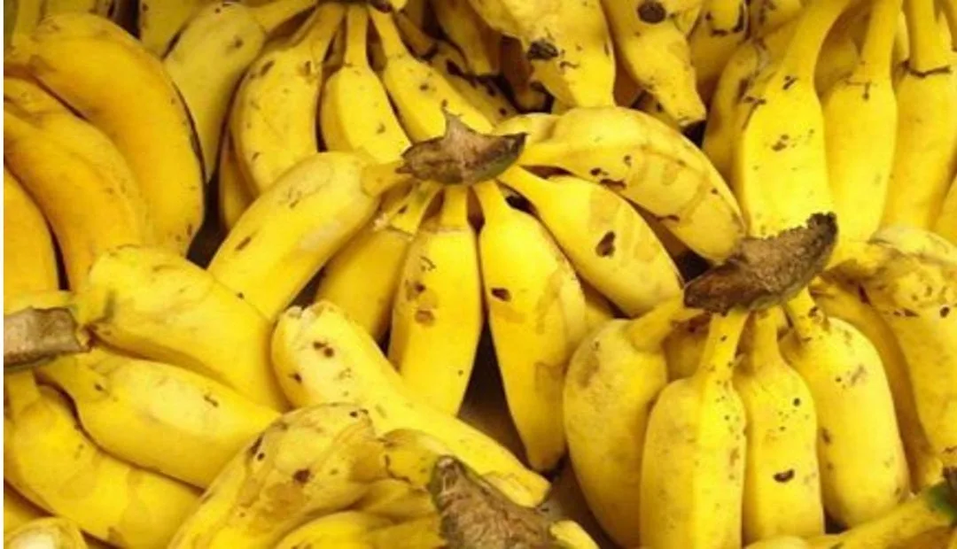 Descubren todas las propiedades de la cáscara de banano y plátano