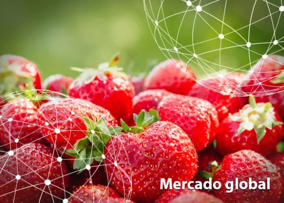Resumen del mercado global de la fresa