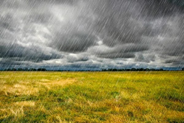 ESPAÑA: Las lluvias dañan los cultivos agrícolas y ponen en riesgo las nuevas campañas
