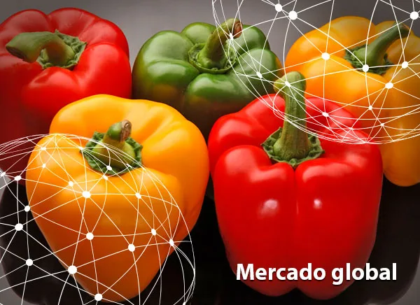 Resumen del mercado global del pimiento