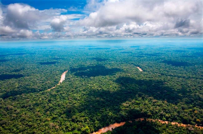 Colombia y Perú abren convocatoria para financiar proyectos en la frontera amazónica