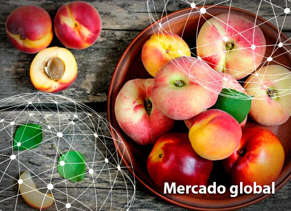 Resumen del mercado global de la fruta de hueso
