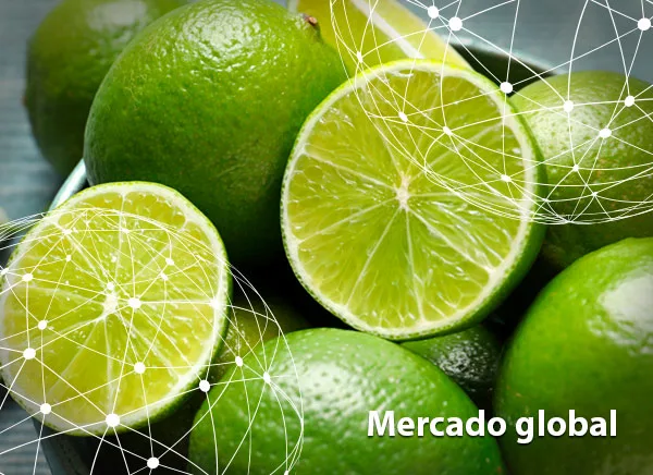 Resumen del mercado global de la lima