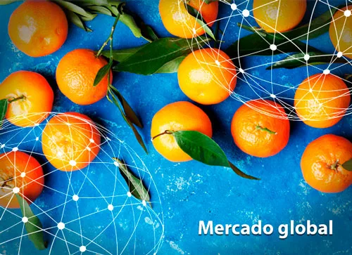 Resumen del mercado global de la mandarina