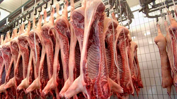 COLOMBIA: Carne de cerdo baja de precio y gana terreno frente a la res y el pollo en 2026