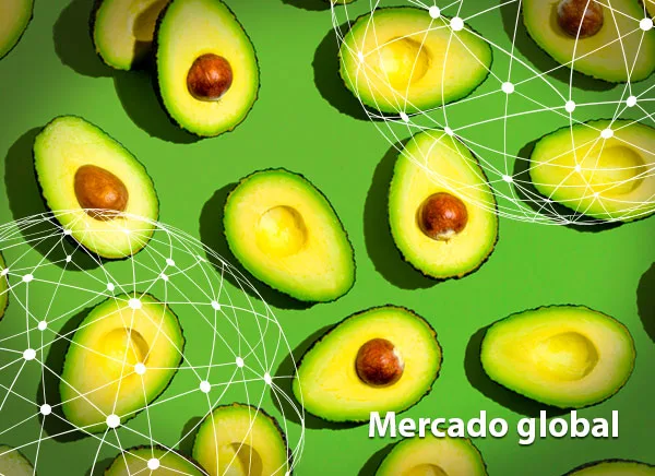 Resumen del mercado global del aguacate