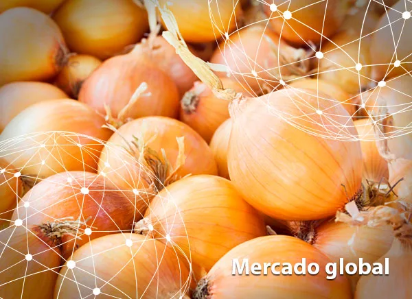 Resumen del mercado global de la cebolla
