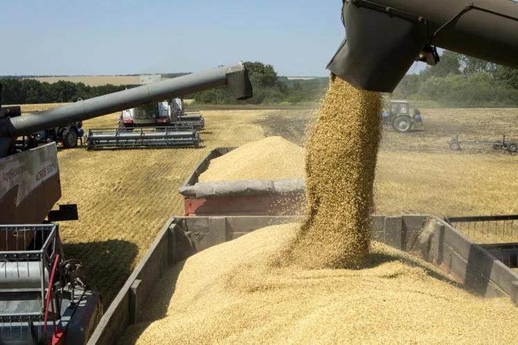 España: Ola de calor recorta la cosecha de cereales