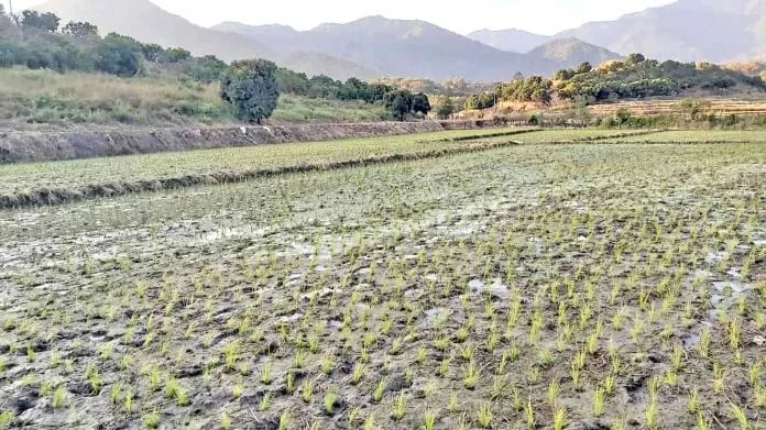 ECUADOR: Arranca nueva fase del Proyecto DESATAR en la Costa