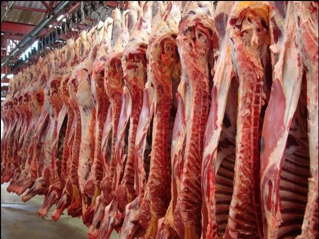 ECUADOR: Ordenanza apunta a reforzar la producción cárnica