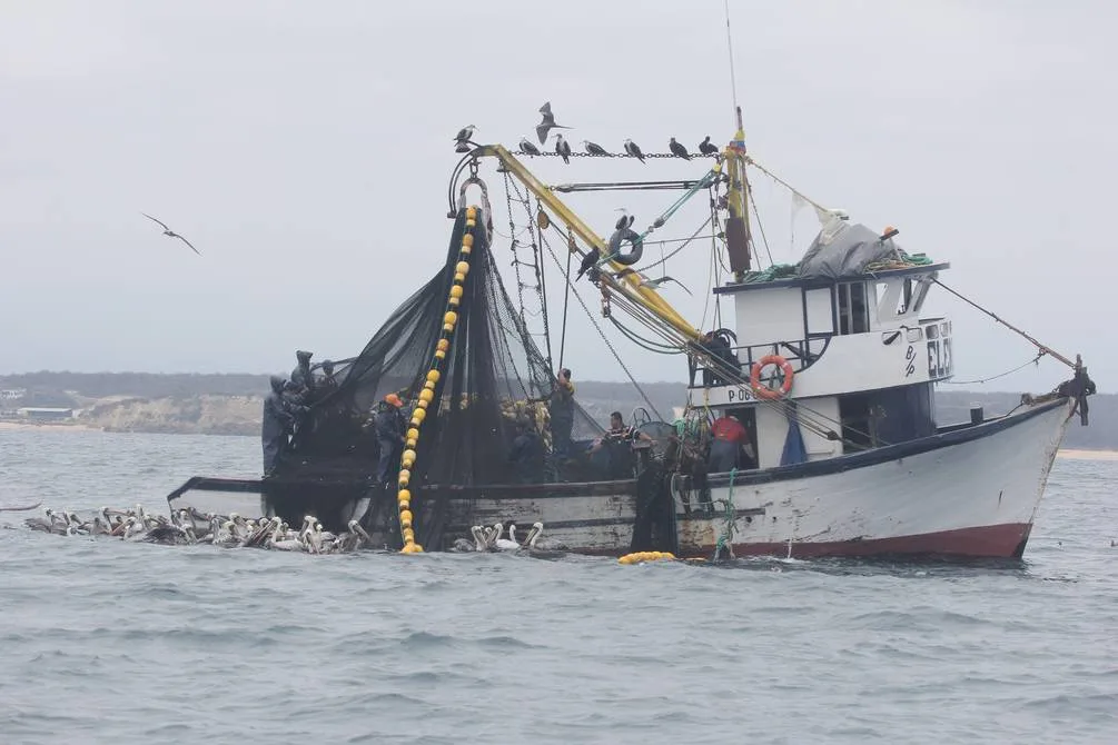 ECUADOR: Reforma legal busca clasificar al sector acuícola