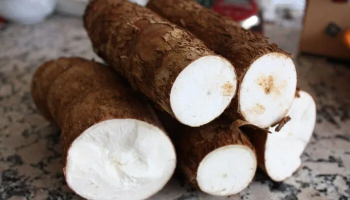 La demanda de yuca crece en EE. UU. y Europa impulsada por las dietas sin gluten