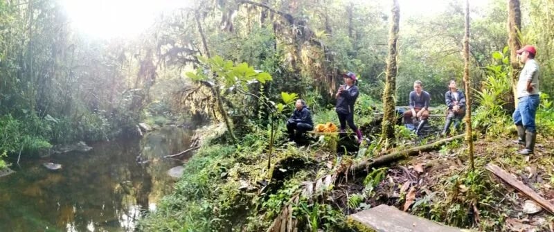 Un nuevo estudio identifica el origen de la sequía en la Amazonía