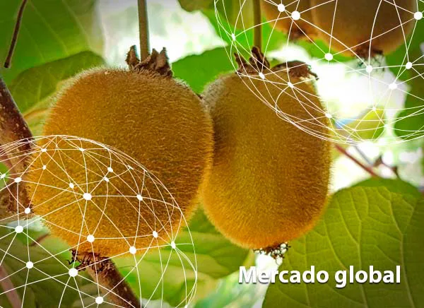 Resumen del mercado global del kiwi