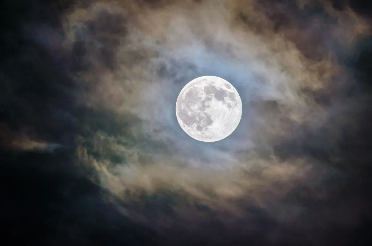 La Influencia del Calendario Lunar en el Sector Agropecuario: Ciencia y Tradición de la Mano