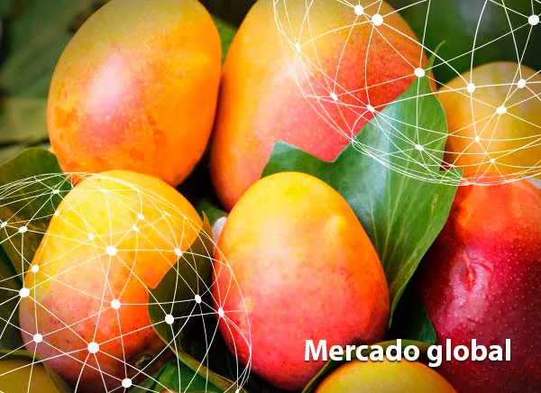 Resumen del mercado global del mango