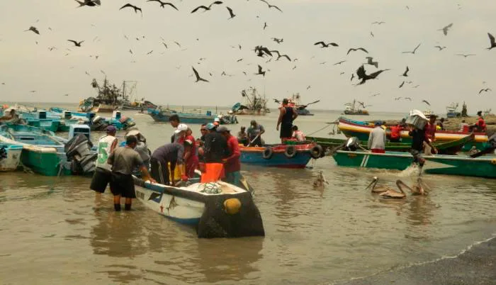 ECUADOR: Pescadores artesanales ingresan al Crédito 7x7