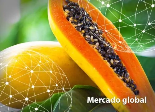 Resumen del mercado global de la papaya