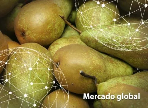 Resumen del mercado global de la pera