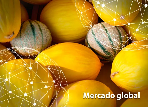 Resumen del mercado global del melón y la sandía