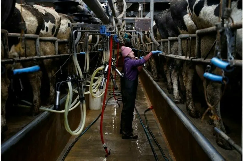 La Unión Europea perdió un 17 % de mano de obra agrícola en una década
