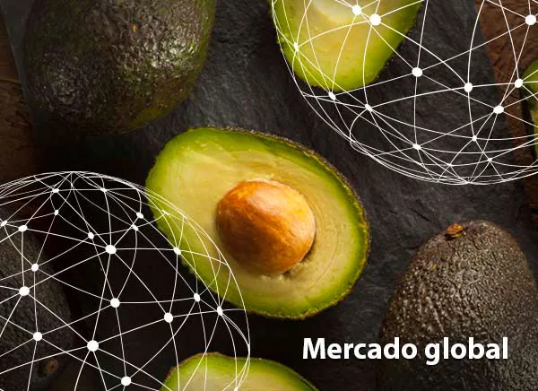 Resumen del mercado global del aguacate