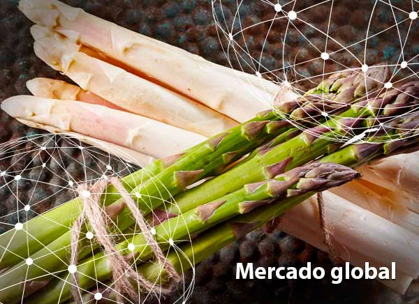 Resumen del mercado global del espárrago