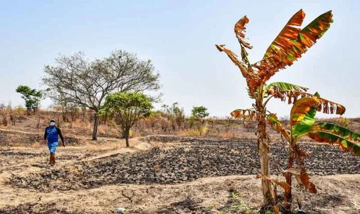 BRASIL: Diálogos para el Clima reúne a expertos el 16 de septiembre