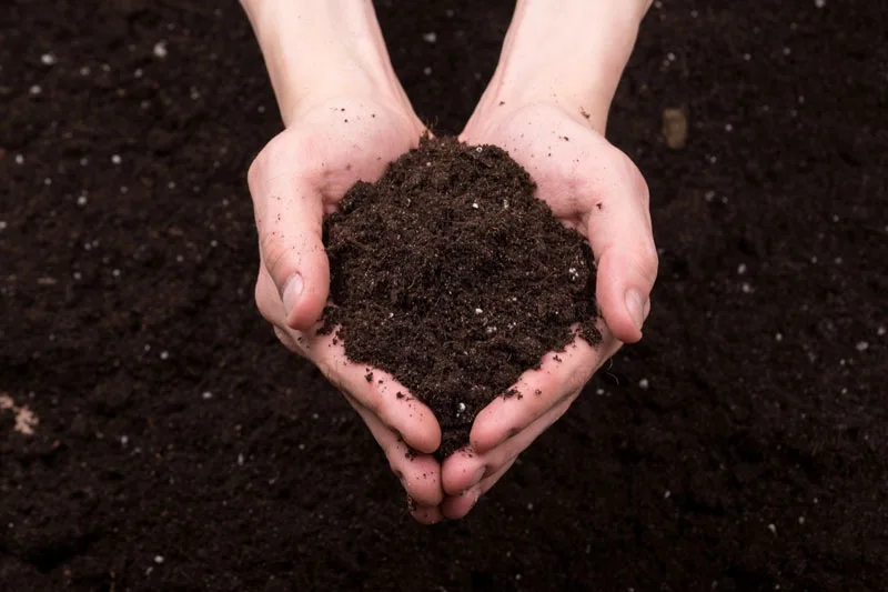 La salud del suelo define el futuro de la producción agrícola