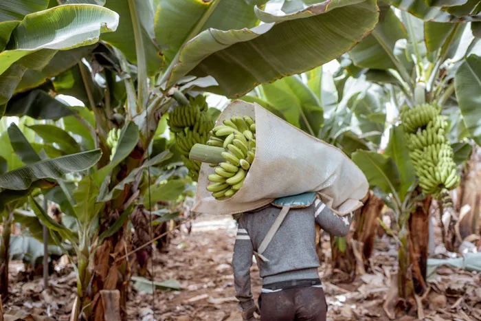 ECUADOR: InnovAgro celebra hoy 20 Años de Innovación y Compromiso con el Agro Sostenible