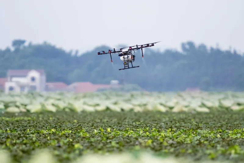 Agrodrones contra plagas subterráneas
