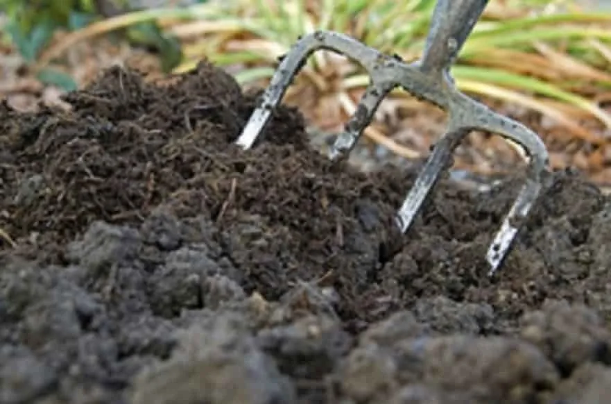 La UE adopta nuevas normas sobre fertilizantes a base de estiércol