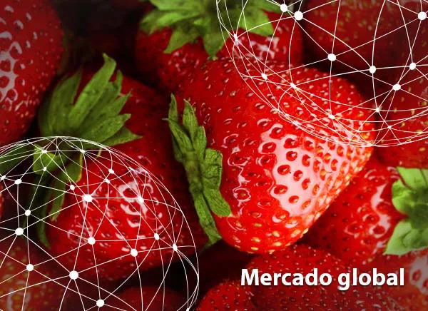 Resumen del mercado global de la fresa