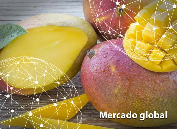 Resumen del mercado global del mango