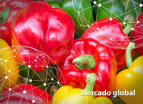 Resumen del mercado global del pimiento