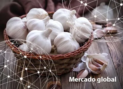 Resumen del mercado global del ajo