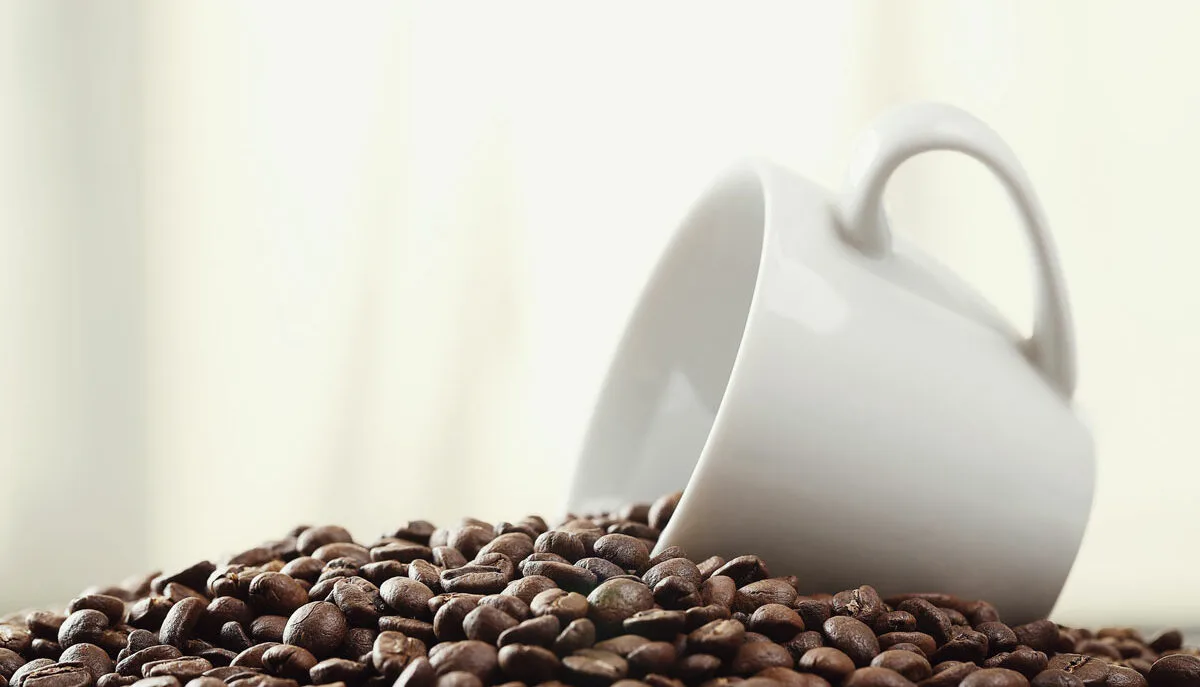 Argentina se estrena como productor de café