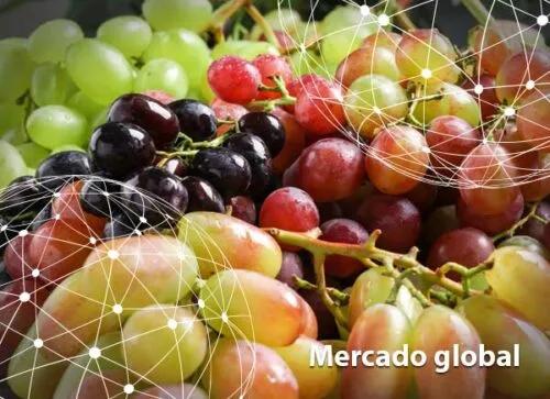 Resumen del mercado global de la uva