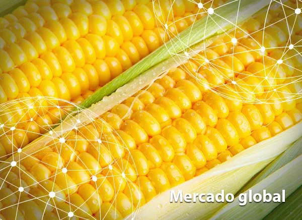 Resumen del mercado global del maíz dulce