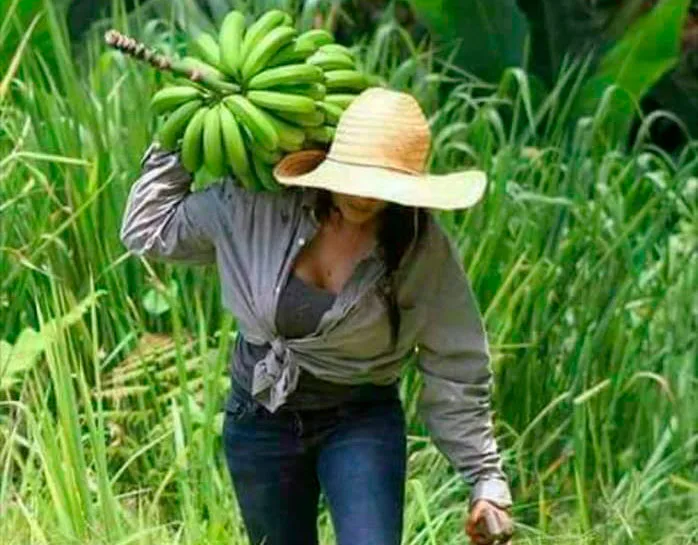COLOMBIA: La Cepal reveló que 1,2 millones de jóvenes en Latam abandonarían el sector agrícola