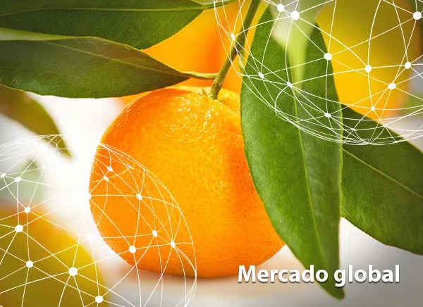 Resumen del mercado global de la mandarina