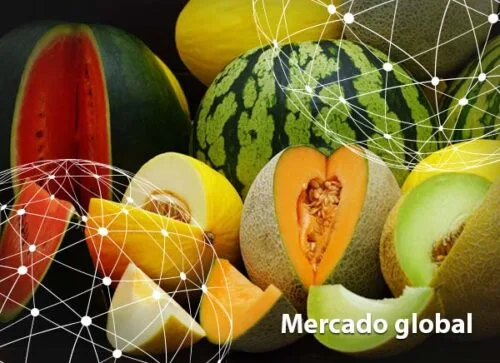 Resumen del mercado global del melón y la sandía