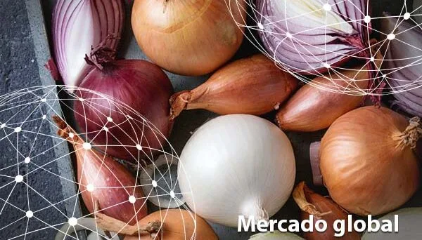 Resumen del mercado global de la cebolla