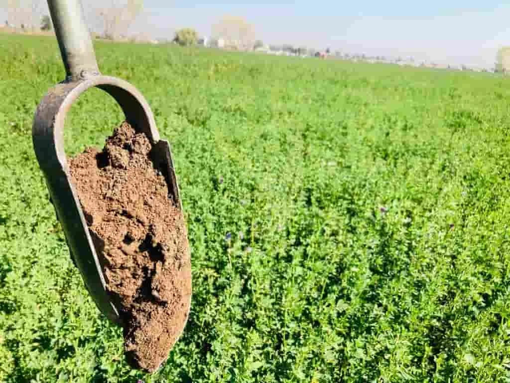 Investigación INIA-Chile busca mitigar el efecto de los microplásticos en suelos agrícolas