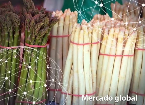 Resumen del mercado global del espárrago